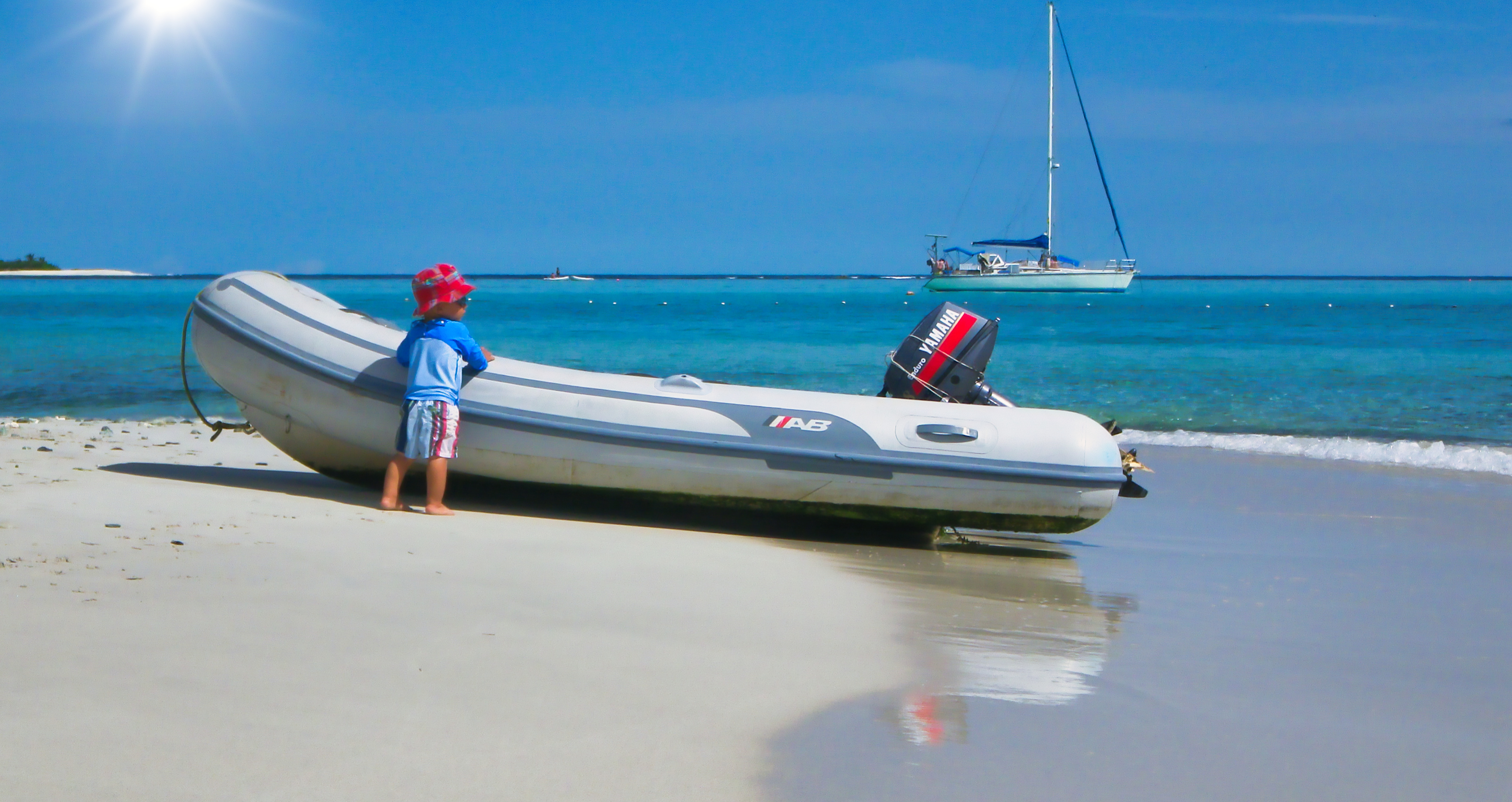 catamaran et voilier, grenadines dauphins nemovoile